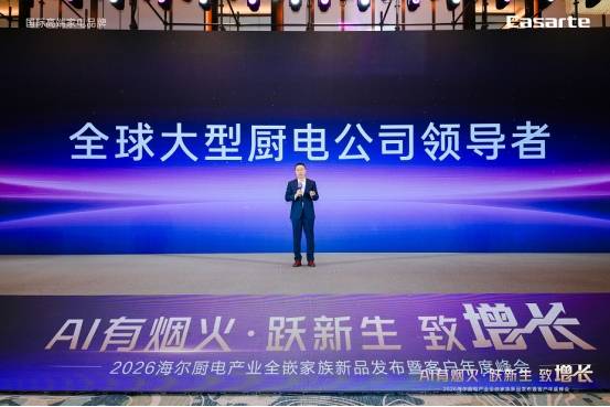 海尔大厨电2025年逆势增长领跑行业(图1)